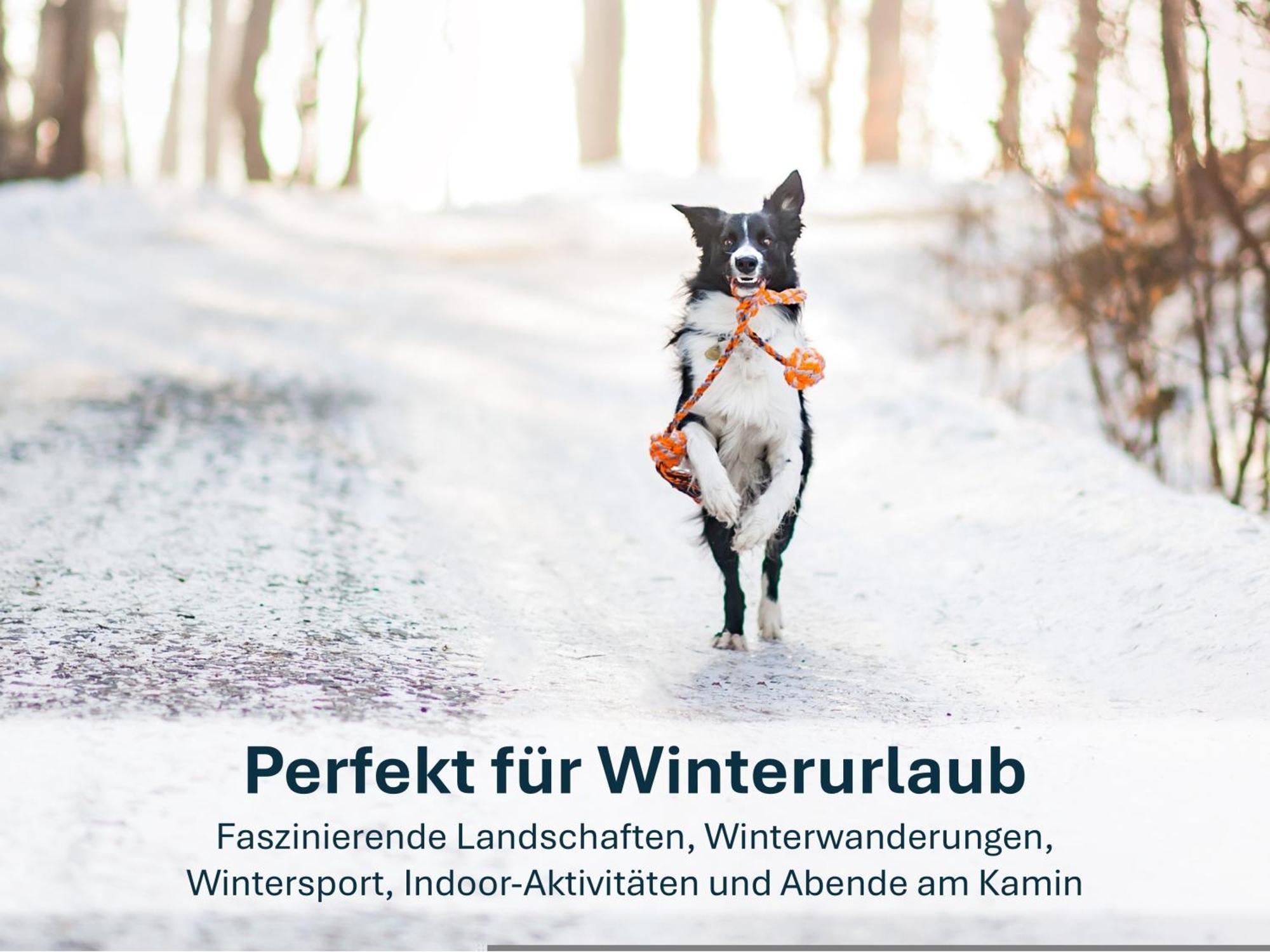 Ferienwohnung Ursel Heringsdorf  Kültér fotó